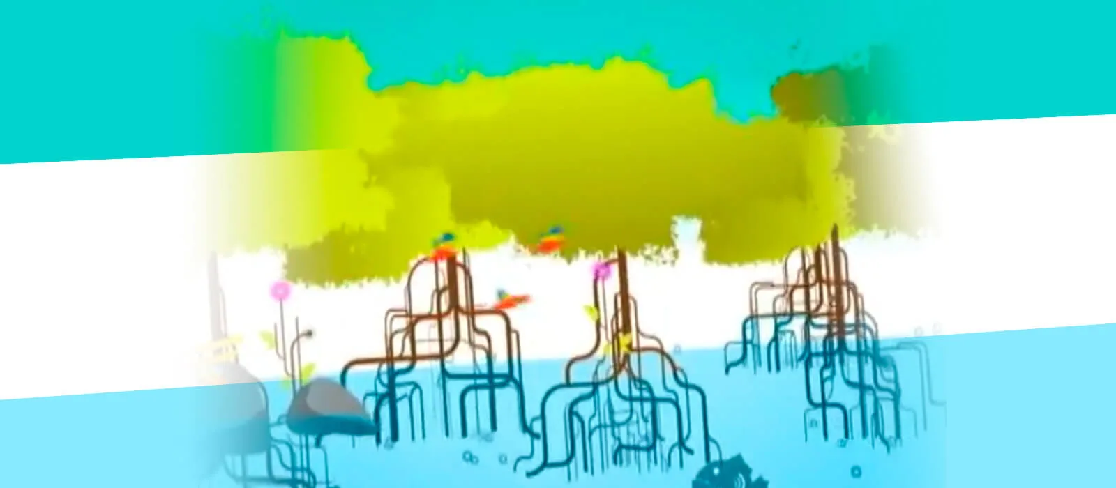 Reel Pacífica